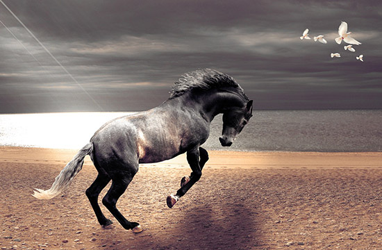 Пука в образі коня