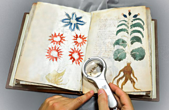 От самой длинной до самой загадочной: 10 интересных фактов о книгах и чтении