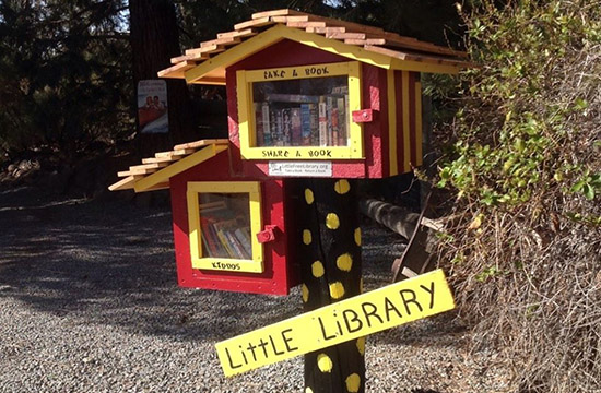 Самые необычные библиотеки мира